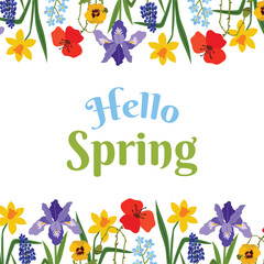 Colorful Hello Spring festive background with decorative top and bottom floral borders. Spring flowers like irises, poppies, daffodils, and forget-me-nots for seasonal greeting cards and banners.