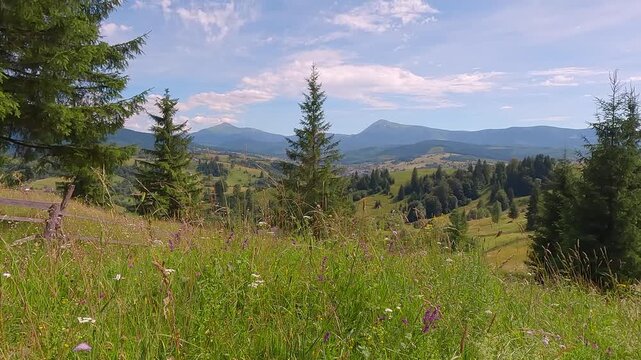 Exciting morning view of Stebny mountain village with blooming green meadow. Marvelous summer scene of Carpathian grassland, Ukraine, Europe. 4K video (Ultra High Definition).