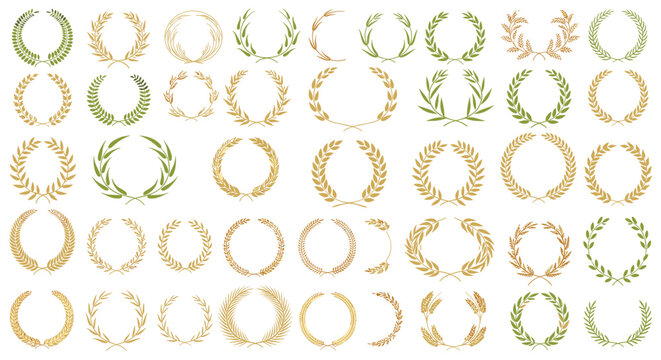 Extensive collection of circular and semi-circular wreaths made of wheat ears and green leaves for award and organic design themes.