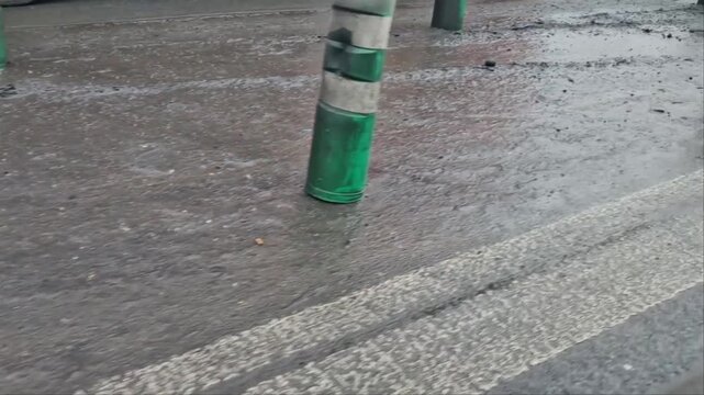 traffic signs drawn on the road. zebra where he must not stop and park. striping on asphalt with the support of green plastic bollards. these bollards are made of flexible rubber, so they can beat