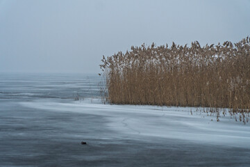 Okolice jeziora Pławniowice - kra , lód i krajobraz © rob