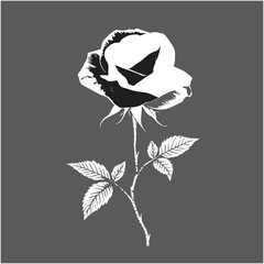 Black rose silhouette isolated on white canvas