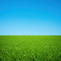Fototapeta premium Vibrant green grass texture filling the bottom third, contrasted sharply with a clear blue sky. Ideal blank space for text or design, environment, field, pattern