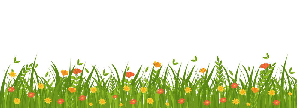 Green grass and wildflowers border with meadow plants. Horizontal spring landscape element in flat style