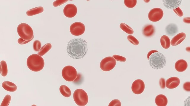 Microscopic view of red blood cells and platelets in human blood sample