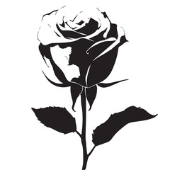 Black rose silhouette isolated on white canvas