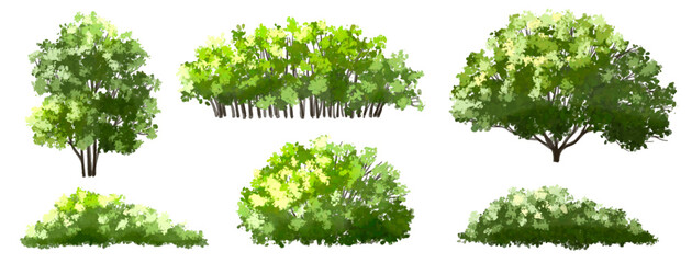 Obraz premium Vector watercolor green tree or forest side view isolated on white background for landscape and architecture drawing,elements for environment or and garden,Shrub for section