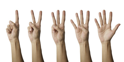 Counting hand gestures set isolated on white. Human palm showing one to five fingers. Minimalist sign language concept for communication & numbers.