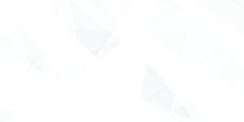 Obraz premium Abstract background with white and gray and geometric style with simple lines and corners, polygons as background geometric style with simple lines and corners, polygons as background paper texture