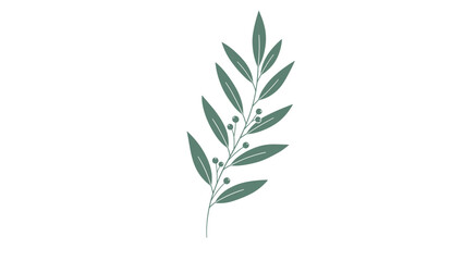 Fototapeta premium Simple green olive branch with small berries is illustrated as a minimalist graphic on a white background for clean decor ideas.