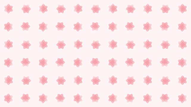 4K video animation symmetric ornamental pink pastel seamless pattern sakura ornamental decorative with pink background, repeated motif video, animated footage