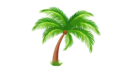 Obraz premium Tropical Palm Tree Illustration