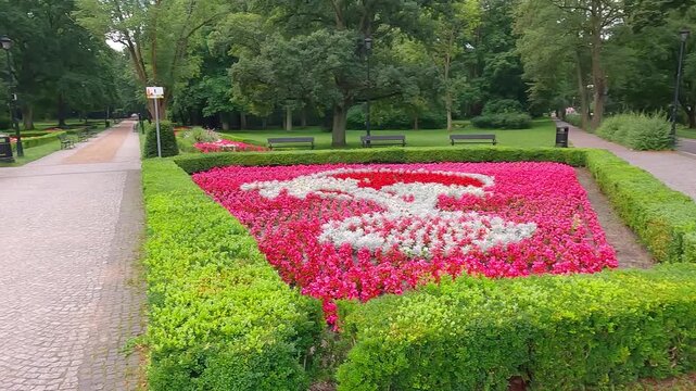 Runing man of empty alley in Zdrojowy park. Splendid summer scene of botanical garden with blooming red flowers and green trees in Swinoujscie town, Poland, Europe. 4K video (Ultra High Definition).