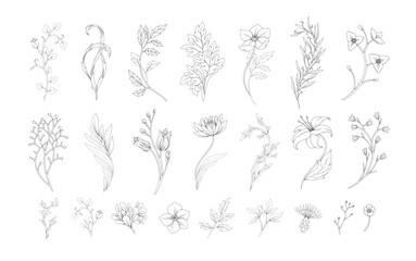 Fototapeta na wymiar Set of retro silhouette flowers and botanical elements. Art nouveau hand drawn leaves branches and blooming. Elegant elements for invitation save the date card. Vector illustration