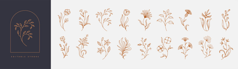 Set of boho simple geometric branch and flowers. Botanic design elements in wavy and vintage style. Leaves and branches print for logo, social media or packaging © merfin