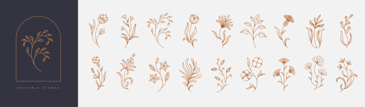 Set of boho simple geometric branch and flowers. Botanic design elements in wavy and vintage style. Leaves and branches print for logo, social media or packaging