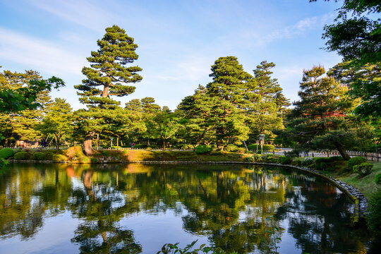 Lush greenery in the famous Kenrokuen Garden in Kanazawa, Japan