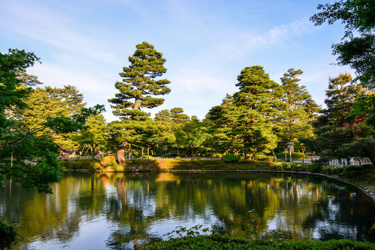 Lush greenery in the famous Kenrokuen Garden in Kanazawa, Japan