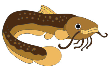 Electric eel Isolated on white background