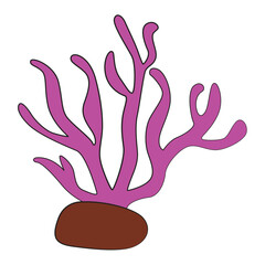 Coral reef plants isolated on white background