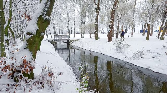 Huge snowfall in botanical garden. Cold morning scene of Topilche pablick city park in Ternopil town. Untouched winter landscape. 4K video (Ultra High Definition).