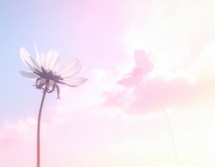 Obraz premium Delicate Flowers Against a Soft Pink Sky at Sunrise or Sunset