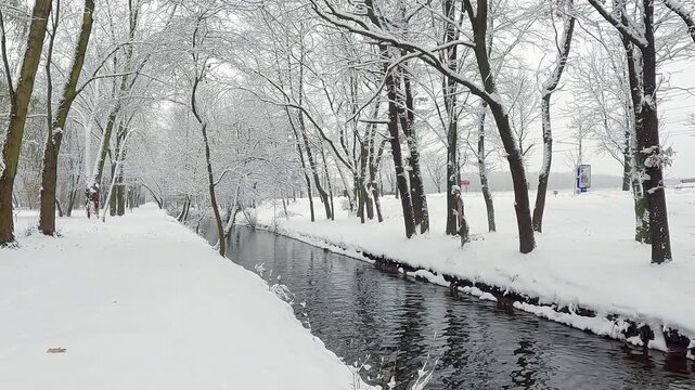 Trees covered by frsh snow on the shore of Seret river in Topilche park, Ternopil town, Ukraine, Europe. Cold winter scene of city park. 4K video (Ultra High Definition).