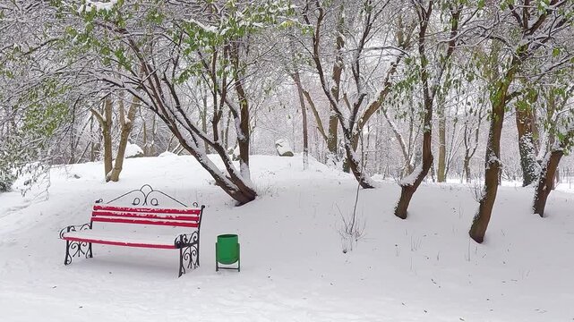 Cold winter scene of Topilce park, Ternopil, Ukraine. Red bench in the snowy city park. Fresh snow covered alley and trees in botanical garden. 4K video (Ultra High Definition).