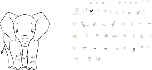 Cute cartoon baby elephant illustration © Tarek