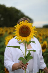 Young woman in white shirt holding a large sunflower in front of her face in a summer field