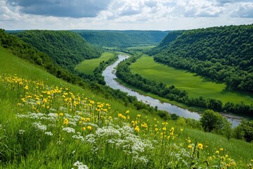 Curved road through green hills