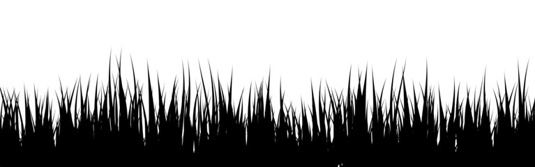Obraz premium Meadow silhouette with grass, plants on plain. Panoramic summer lawn landscape with herbs, various weeds. Herbal border, frame element. Black horizontal banners. Vector illustration