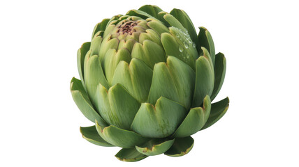 Obraz premium Fresh green artichoke with water drops on leaves healthy food transparent background
