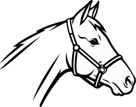 Striking black and white outline drawing of a horse's head wearing a halter