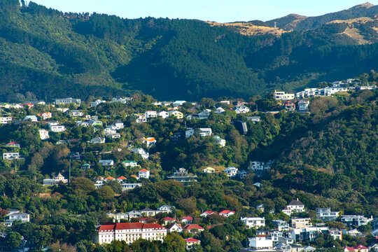 Residential Houses in Wellington - New Zealand