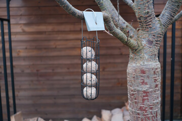 A bird feeder hanging from a tree with four bird seed balls inside