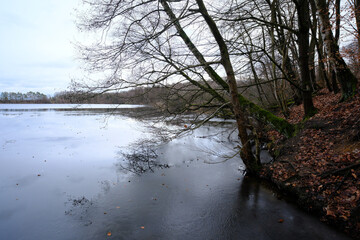 Frozen Lake in Winter, Cold Weather Landscape, Natural Outdoor Scene