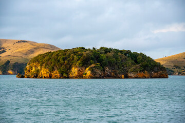 Obraz premium Pudding Island in Portobello - Dunedin - New Zealand