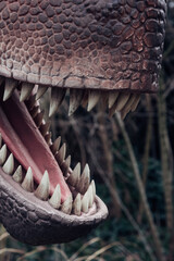 A dinosaur's mouth is open, revealing its sharp teeth