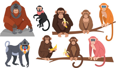 Monkey primates illustration set, cartoon jungle animals collection, wildlife character design, tropical forest concept, cute exotic mammals illustration © Vexora Studio