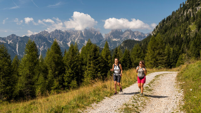 Two women hike on a gravel path through a forest, with mountains in the background under a blue sky with clouds. Tragonia hut,Forni di Sopra,Dolomites,Italy