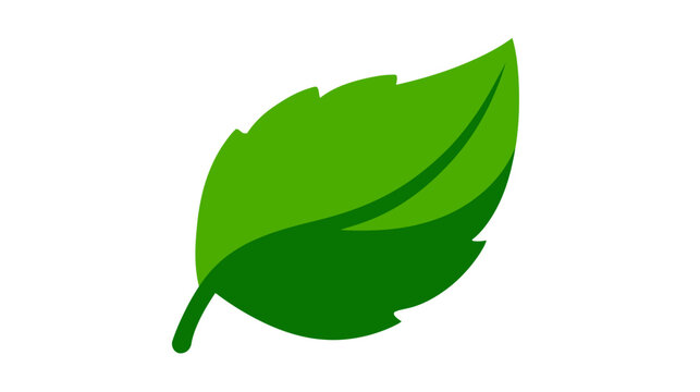 A vibrant, stylized green leaf with a dark green underlay on a clean white background