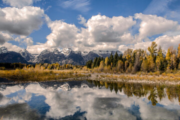 Mountain Reflection in a Calm Forest Pond