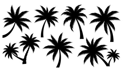 Fototapeta premium Abstract artistic palm shadow silhouette collection for modern tropical design vector