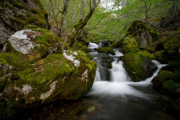Obraz premium Moss-Covered Rocks and Stream in Argovejo beech Forest, León, Castilla y Leon, Spain