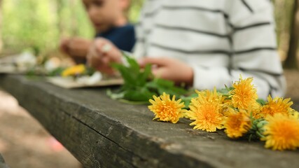 Children crafting with dandelions and leaves on a wooden table in a forest setting