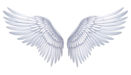 Fototapeta premium Pair of detailed white wings spread wide against a white background, feathers layered and textured