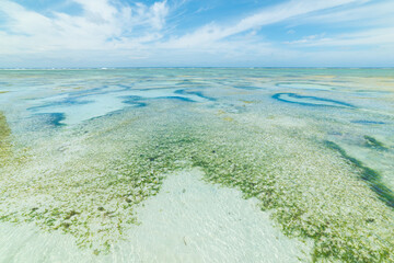Coral Reef Viewed from Above Water with Blue Sky and White Clouds