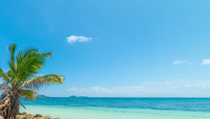 Tropical Beach with Palm Leaves, Blue Sky and Turquoise Sea