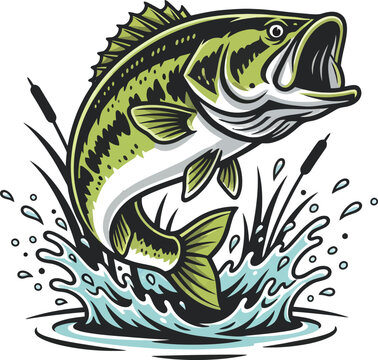 Colorful jumping bass fish illustration with splashing water, dynamic jumping bass fish illustration, bass jumping out of water vector, bass Fish with water vector illustration